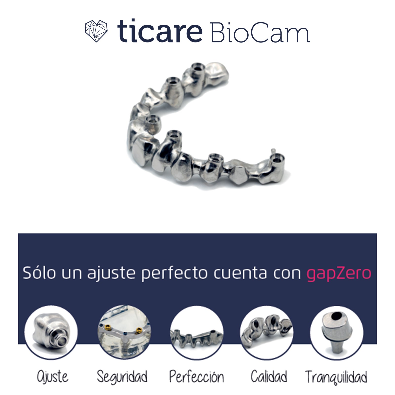 Prótesis personalizada Ticare BioCam