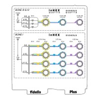 Set Fidelis Plus