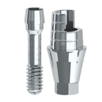 Interfase dinamica hex Inhex Maxi H1 mm con tornillo