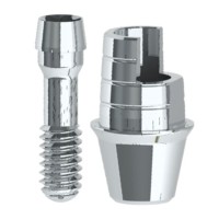 Interfase dinamica rotatoria Inhex Maxi H0,5 mm con tornillo