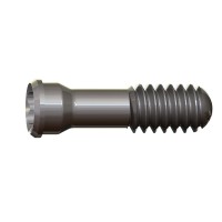 Tornillo para chimeneas anguladas M2 L7,2 punta esférica