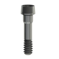 Tornillo para chimeneas anguladas M1,6 L7,9