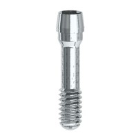 Tornillo para chimeneas anguladas M2 L9,8