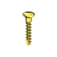 Tornillo osteosíntesis 1,3x7 mm (10 tornillos)