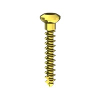 Tornillo osteosíntesis 1,3x9 mm (10 tornillos)